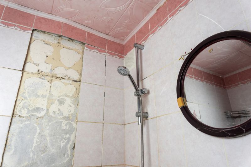 Top Shower Remodeling Companies in Oak Park, MI